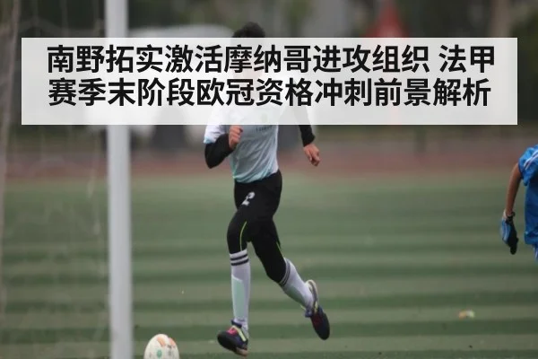 南野拓实激活摩纳哥进攻组织 法甲赛季末阶段欧冠资格冲刺前景解析